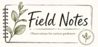 Field_Notes copy